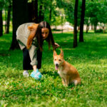 Pet Waste Removal in Texoma: A Cleaner Yard Without the Hassle