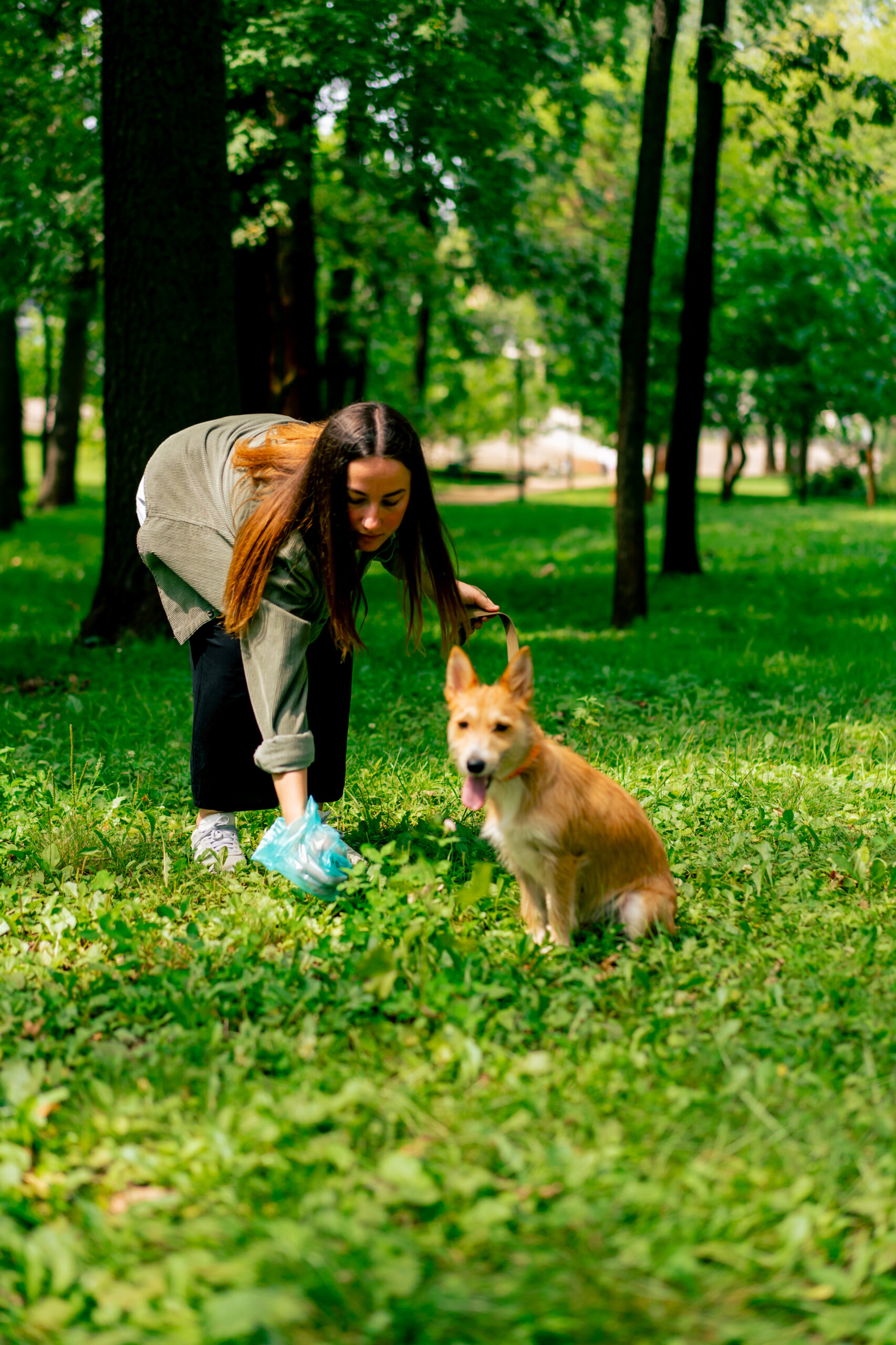 Pet Waste Removal in Texoma: A Cleaner Yard…